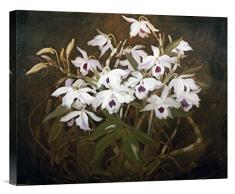 Global Galerie Budget gcs-265325–55,9–360,7 cm James Stuart Park Dinrobium Orchideen Galerie Wrap Giclée-Kunstdruck auf Leinwand Art Wand