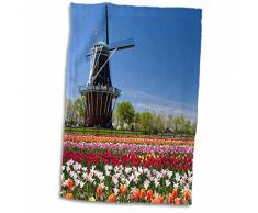 3D Rose Windmühle Island Park Tulpen Holland-Michigan-Us23 Dfr0041-David R. Frazier Hand-/Sporthandtuch, 15 x 22