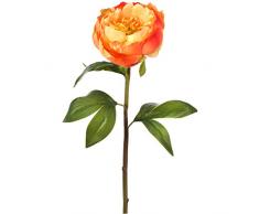 Regency Int Preis Pfingstrose Stem 55,9 cm Multi