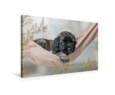 Premium Textil-Leinwand 75 cm x 50 cm quer Chillen in der Hängematte