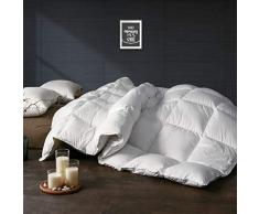 Apsmile Bettdecke aus ägyptischer Baumwolle, weiße Gänsedaunen Queen / Optimum Warmth weiß