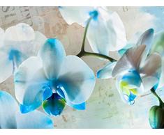 AG Design FTxxl 1433 Blaue Blumen, Papier Fototapete - 360x255 cm - 4 teile, Papier, multicolor, 0,1 x 360 x 255 cm