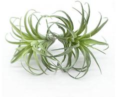 EBUYOM 2 Stück Mini künstliche Sukkulenten Pflanzen unbepflanzt Fake Sukkulenten Blumenstrauß Arrangements Kunstpflanzen DIY für Garten Dekoration Haus Grün Set Beflockung Tillandsia