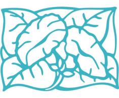 INDIGOS/Wandaufkleber-e185 hübsche Trompetenblume 40x28 cm- türkis, Vinyl, 40 x 28 x 1 cm