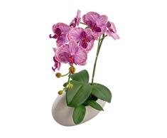 Red Vanilla OF064-100 Phalaenopsis Tafelaufsatz mit weißer Orchidee, schwarzer Boden Lavendel 17 x 9.75 Vase