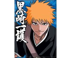 Ata Boy Bleach Ichigo 6,3 x 8,9 cm Magnet für Kühlschrank und Schließfächer
