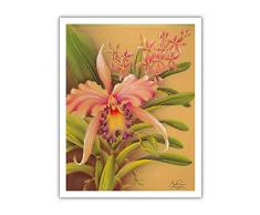 Pacifica Island Art, Pink Cattleya Orchidee Hawaii – Vintage Hawaiian Airbrush Kunst von Frank Oda (Hale Pua Studio) c.1940s – Hawaiian Fine Art Print 11 x 14
