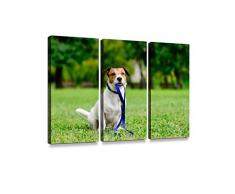 HABEN ARTWORK 3-teiliger Kunstdruck auf Leinwand, Motiv Grumpy New Year Dog, modernes Fotografie, Heimdekoration, einzigartiges Muster, gespannt und gerahmt, 3-teilig 3 Piece Multi 18