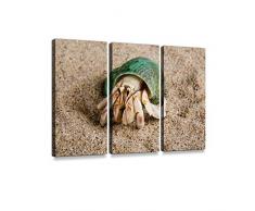 HABEN ARTWORK 3-teiliges Bild auf Leinwand, Motiv: Kaninchen im Gras, modernes Fotografie, Heimdekoration, einzigartiges Muster, gespannt und gerahmt, 3-teilig, Multi 26, 3 Stück