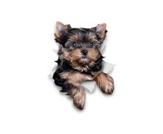 Winston & Bear 3D Hund Aufkleber - 2er-Pack - süße Yorkshire-Terrier für Wand, Kühlschrank Yorkshire Terrier Hund Aufkleber