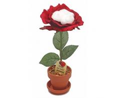 JustPaperRoses Hochzeitstag Geschenk, Schreibtisch Rosen Jahren 1–20, 25 & 50 Traditionell 02nd Anniversary