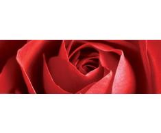 Blumen rote Rose - Flower, Roses - Türposter XXL-Poster Foto - Grösse 158x53 cm