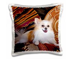 3dRose PC 192329 _ 1 Anwendung, New Mexico Portugiesisch Wasser Dog Portrait Kissen Fall, 40,6 x 40,6 cm