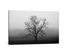 iCanvasART 1 Stück Samt Sunrise Leinwandbild Print von Nicholas Bell Fotografie, 0.75 x 18 x 12-Inch