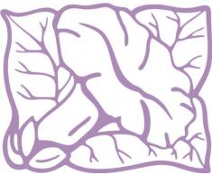 INDIGOS/Wandaufkleber-e183 hübsche Trompetenblume 120x96 cm- Flieder, Vinyl, 120 x 96 x 1 cm