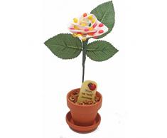 JustPaperRoses Hochzeitstag Geschenk, Schreibtisch Rosen Jahren 1–20, 25 & 50 06th Anniversary