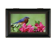 Carson Home Accents Bluebird Spieluhr, Schwarz