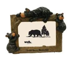 Great Smoky Mountains-Bilderrahmen Teddybär 4 x 6