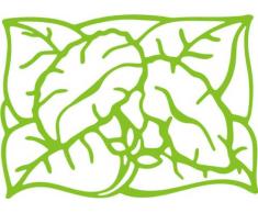 INDIGOS/Wandaufkleber-e185 hübsche Trompetenblume 80x57 cm-gelbgrün, Vinyl, lindgrün, 80 x 57 x 1 cm