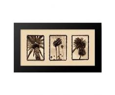 Buyartforless Arbeit Gerahmtes Trio von Hillar Kaplan - New 28 x 16 cm Tropical Palms Fotografie Kunstdruck, Schwarz/Weiß