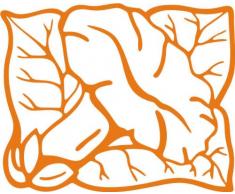 INDIGOS/Wandaufkleber-e183 hübsche Trompetenblume 120x96 cm- orange, Vinyl, 120 x 96 x 1 cm