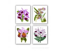 Orchidee Botanischen Prints Set von 4 Blume Orchidee Art gerahmt Wohnzimmer Wanddekoration