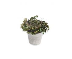 K&K Interiors 13851A Buchsbaum- und Grasnest auf Topf, 50% Blätter, 50% Karton