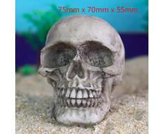 Qptimum 0181 Miniatur-Dekoelement für Aquarien, Schädel, Kunstharz, für Halloween, Bücherregal, Sandy Psychotherapie, Dekoration für Reptilien, 2 Stück