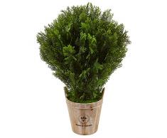 Nearly Natural Fast Natur 7,6 cm Zeder Kunstpflanze in Blumentopf, Grün