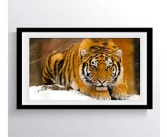 DROB Collectibles Poster, Motiv Gorgeous Bengal Tiger Amazing Wild Cat Animal - Fotografie Art 43 x 58 cm Premium Kunstdruck mit Archivtinte in glänzendem Papier Limitierte Auflage. AN11