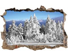 Pixxprint 3D_WD_5223_92x62 Winter Wunderland am späten Nachmittag Wanddurchbruch 3D Wandtattoo, Vinyl, schwarz / weiß, 92 x 62 x 0,02 cm
