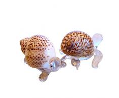 Sansukjai 2 Pcs Turtle & Meer Schildkröte Figuren aus Sammelfiguren Mundgeblasenes Glas Mix Natürliche Shell Beach Tiere Geschenk Home Decor # 6