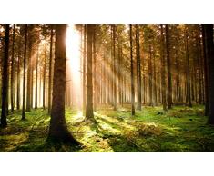 Innova H1393 Heizkörper, Pet mit Rahmen aus Aluminium (D-IC), Kiefernwald im Herbst, einzigartig