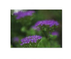 Markenzeichen Fine Art ks01203-c1419gg Fetthenne violett von Kurt Shaffer Wand Decor, 14x19