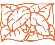 INDIGOS/Wandaufkleber-e185 hübsche Trompetenblume 160x114 cm- hasselnussbraun, Vinyl, 160 x 114 x 1 cm