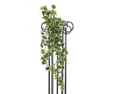 EUROPALMS 82501893 Holländischer Efeu, 86 cm, Mehrfarbig, Einheitsgröße