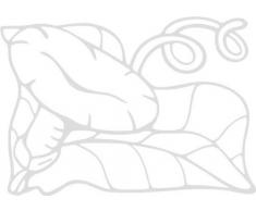 INDIGOS/Wandaufkleber-e184 hübsche Trompetenblume 96x67 cm- Silber, Vinyl, 96 x 67 x 1 cm