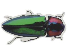 Papier House Productions m-0030e die Cut Kühlschrank Magnet, amnh-Green Beetle (6er Pack)