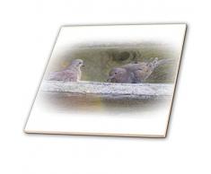 3dRose CT 185393 _ 3 Trauer Tauben in Vogeltränke Keramik Fliesen, 20,3 cm