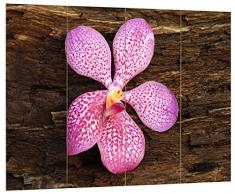 Pixxprint HBVs_2071_80x60 prächtige Orchidee auf Holz MDF-Holzbild im Bretterlook Wanddekoration, bunt, 80 x 60 x 2 cm