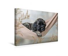 Premium Textil-Leinwand 45 cm x 30 cm quer Chillen in der Hängematte