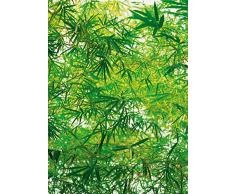 IdealDecor Fototapete, Bunt