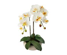 Red Vanilla OF064-100 Phalaenopsis Tafelaufsatz mit weißer Orchidee, schwarzer Boden weißes und gelbes Kernstück 23.5 x 13.75 Weißer Sockel