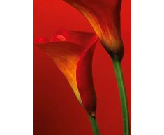 Idealdecor Fototapete, Bunt