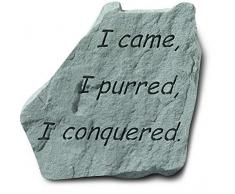 Kay Berry I Came, I Purred, I Conquered. Dekosteine, Mehrfarbig