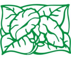 INDIGOS/Wandaufkleber-e185 hübsche Trompetenblume 96x68 cm- grün, Vinyl, 96 x 68 x 1 cm