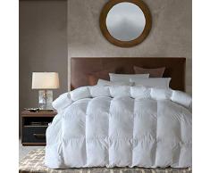 Gänsedaunen Alternative Bettdecke für alle Jahreszeiten (weiß, Queen), sehr weich, gebürstete Mikrofaser, Steppdeckenbezug mit Ecklaschen Twin-68x90