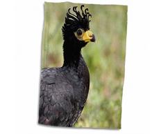 Jaynes Gallery Handtuch / Sporthandtuch / Handtuch, 3D-Rose, brasilianisch, Bare-Faced Curassow Bird-Sa04 Bja0004-Jaynes Gallery 15x22
