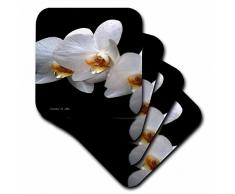 3dRose LLC Untersetzer, Orchideen, Fotografie, Blumen, weich, 8 Stück