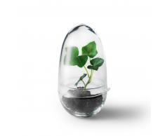 Design House Stockholm Grow Gewächshaus - klar - Höhe 14 cm - Ø 8 cm